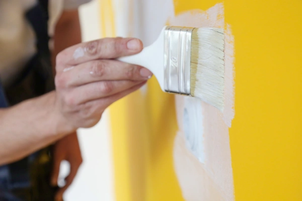 Painting Services Painting Services